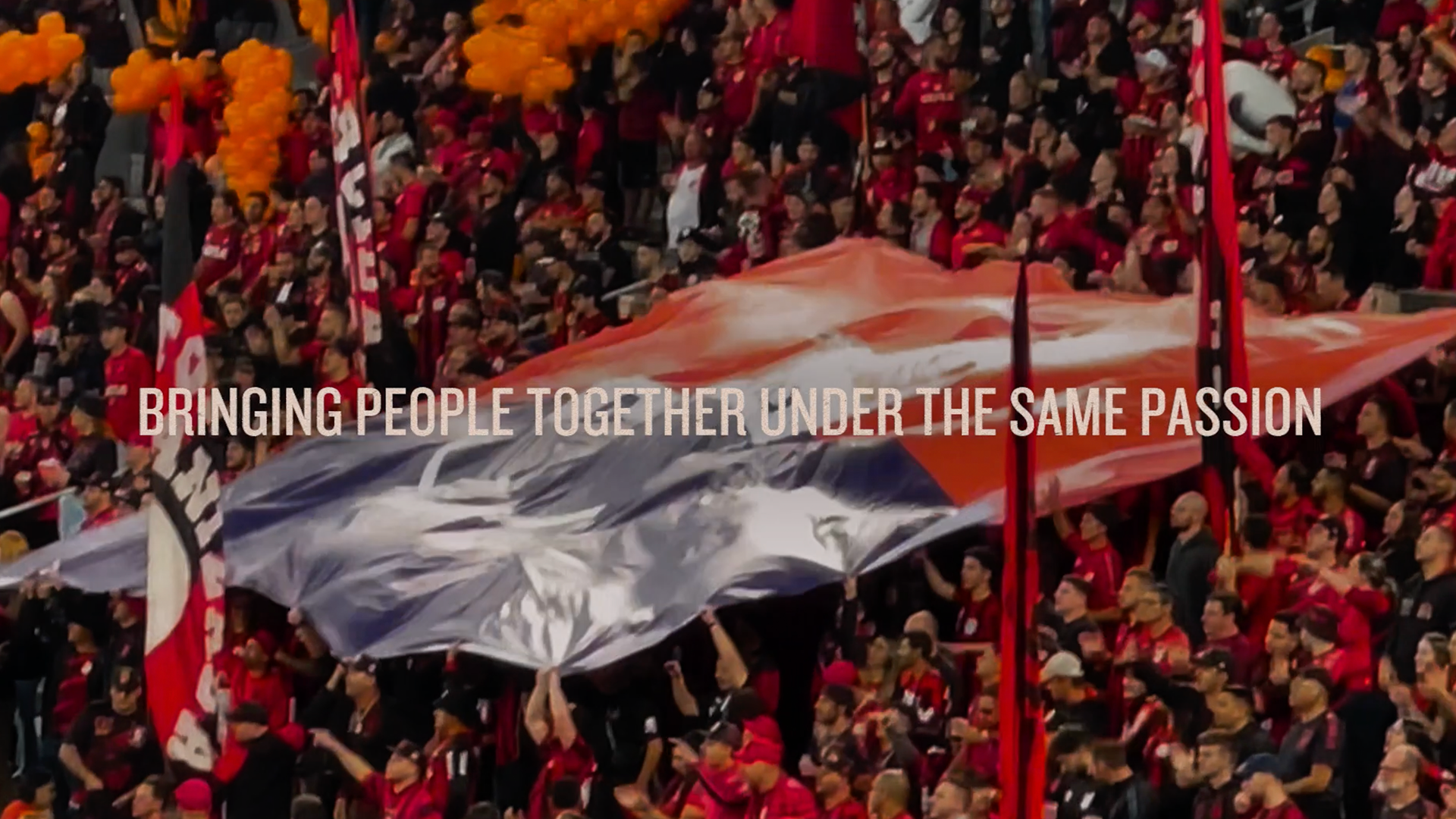 Large crowd holding up flag