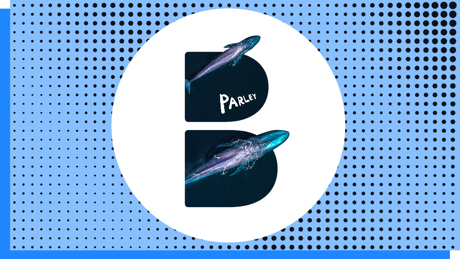 DDB and Parley for the Oceans Announce Partnership for a More Sustainable Future
